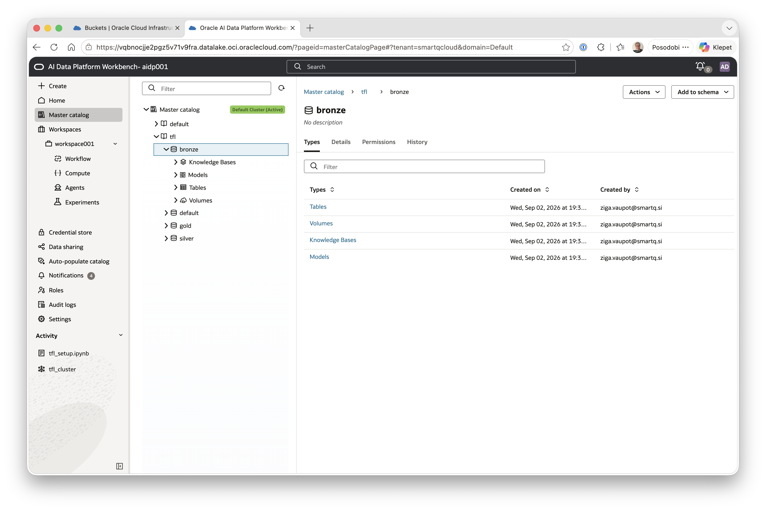 bronze schema Types page listing Tables, Volumes, Knowledge Bases, and Models