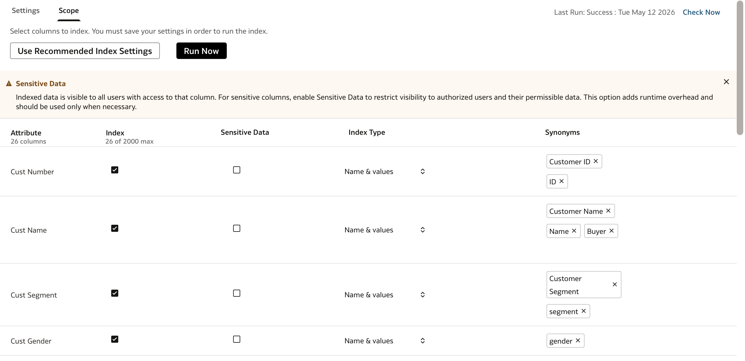 Defining the Ask BI indexing scope and synonyms