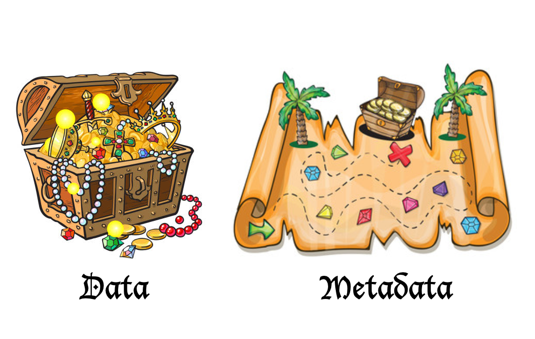 Metadata Management